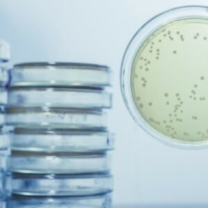 Basic Legionella Management