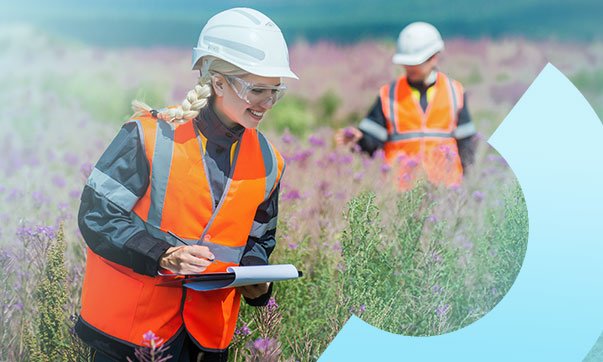 IEMA Environmental Sustainability Skills for the Workforce