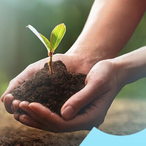 IEMA Pathways to Net Zero