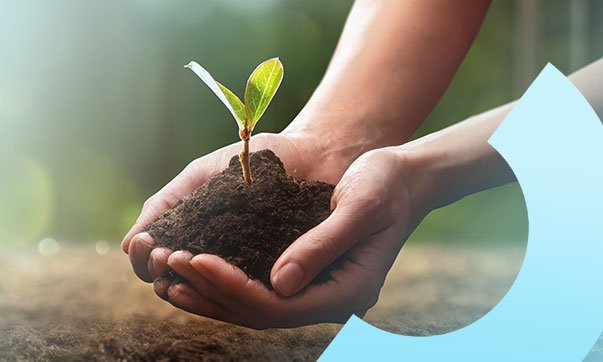 IEMA Pathways to Net Zero